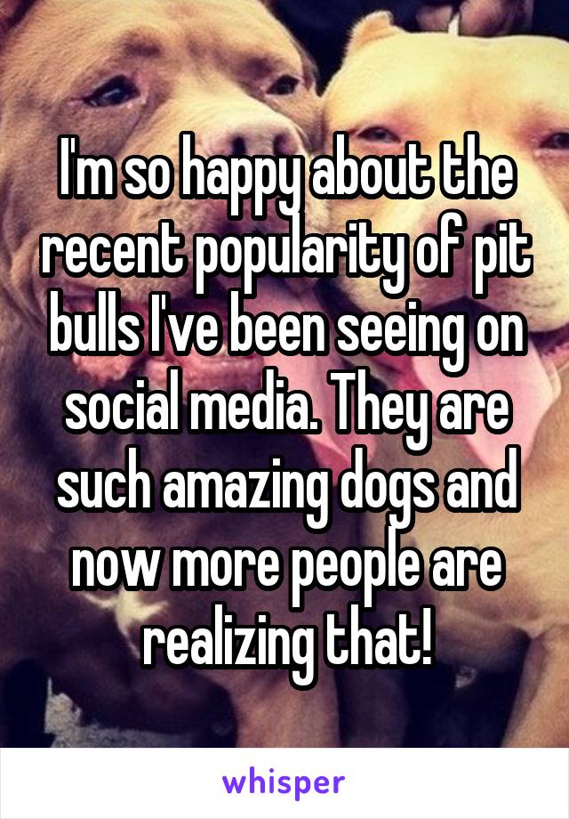 I'm so happy about the recent popularity of pit bulls I've been seeing on social media. They are such amazing dogs and now more people are realizing that!