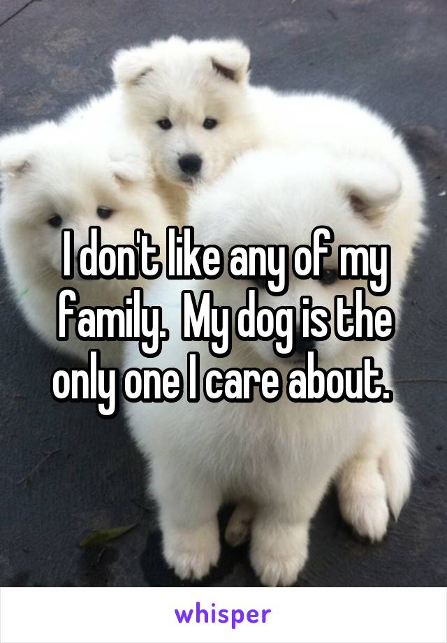 I don't like any of my family.  My dog is the only one I care about. 