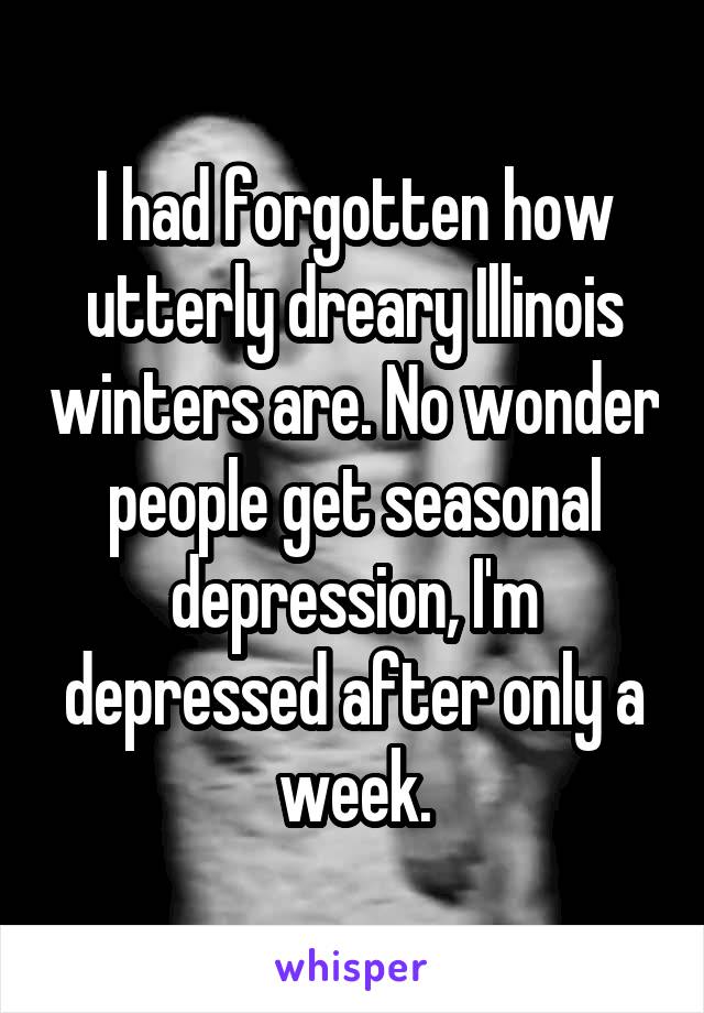 I had forgotten how utterly dreary Illinois winters are. No wonder people get seasonal depression, I'm depressed after only a week.