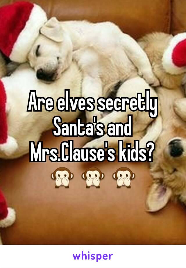 Are elves secretly Santa's and Mrs.Clause's kids?
🙊🙊🙊