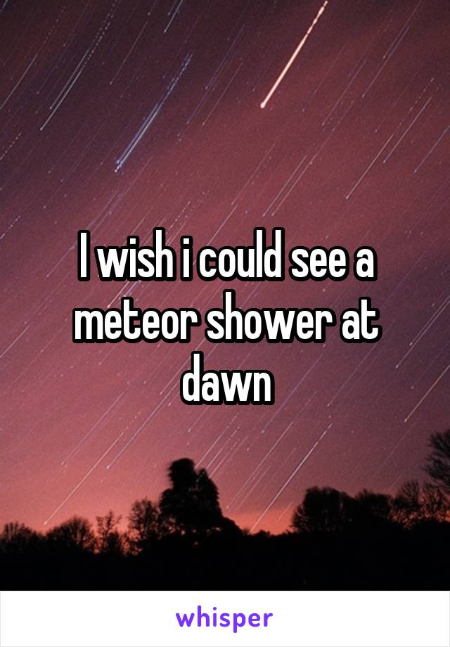 I wish i could see a meteor shower at dawn