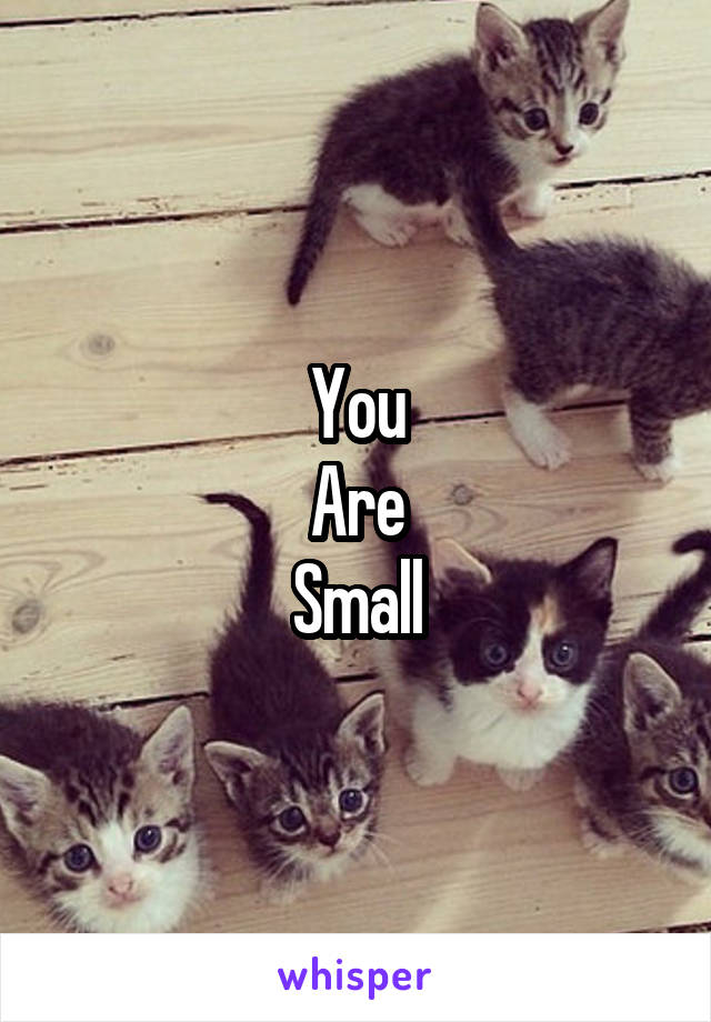 You
Are
Small