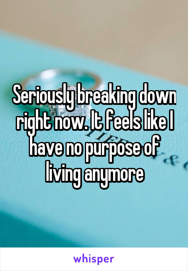 Seriously breaking down right now. It feels like I have no purpose of living anymore