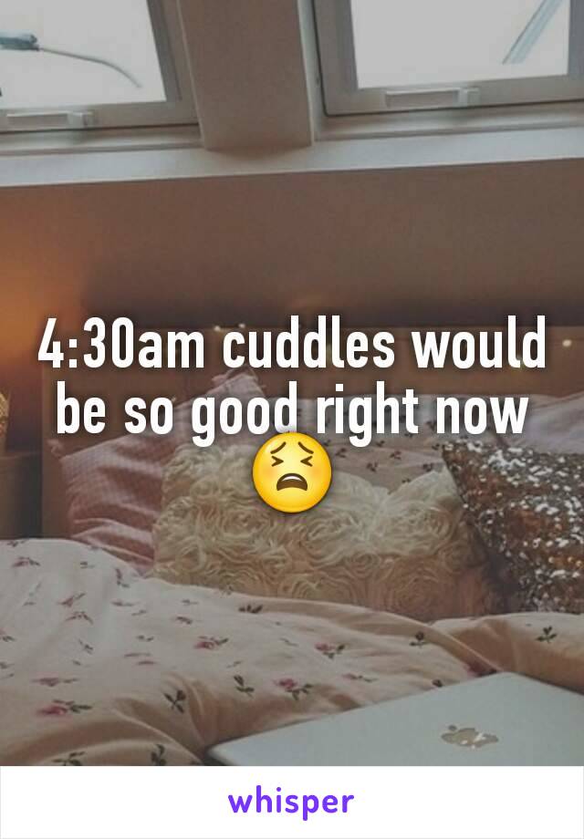 4:30am cuddles would be so good right now 😫