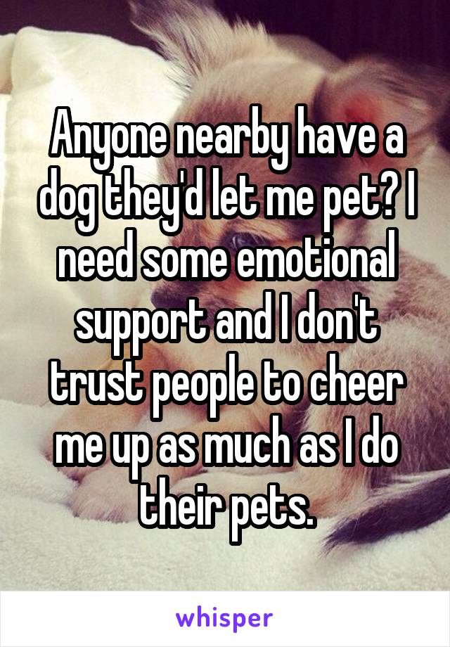 Anyone nearby have a dog they'd let me pet? I need some emotional support and I don't trust people to cheer me up as much as I do their pets.