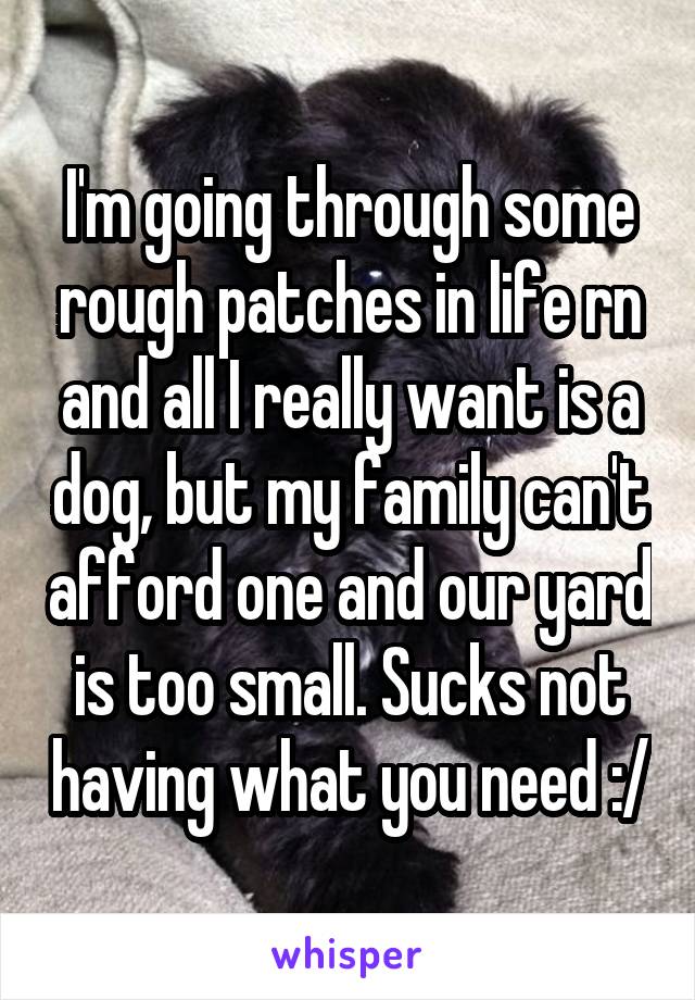 I'm going through some rough patches in life rn and all I really want is a dog, but my family can't afford one and our yard is too small. Sucks not having what you need :/