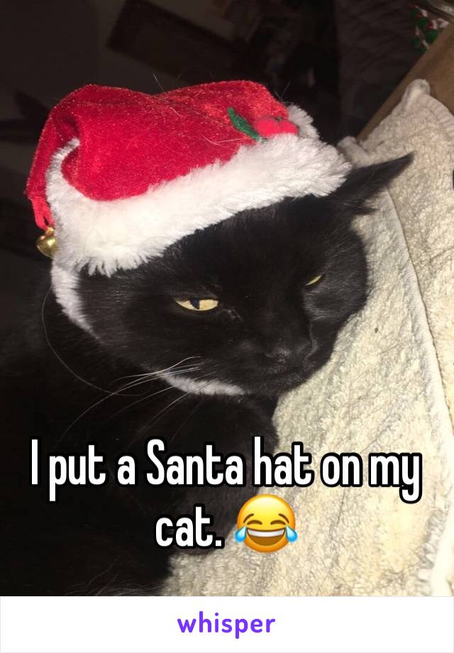 I put a Santa hat on my cat. 😂