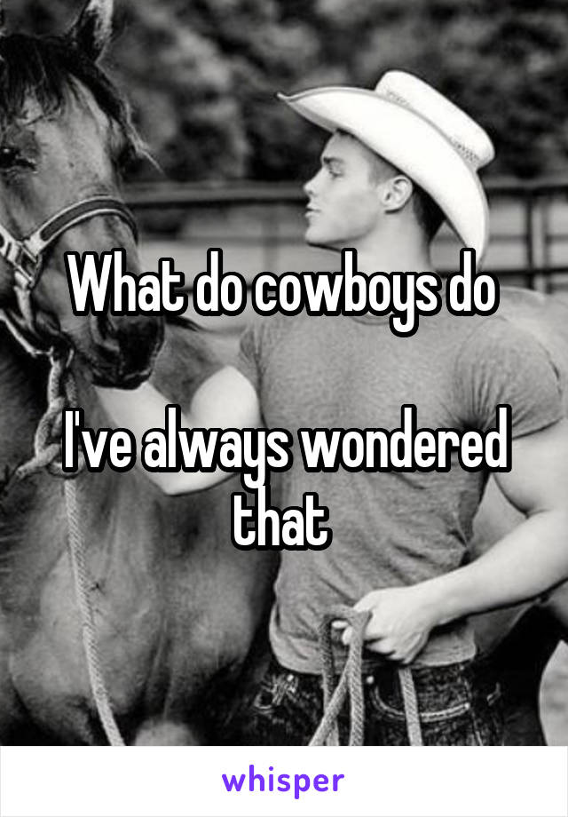 What do cowboys do 

I've always wondered that 