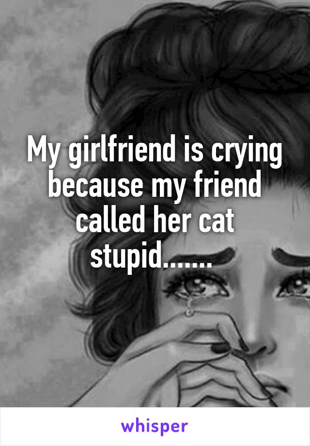 My girlfriend is crying because my friend called her cat stupid....... 
