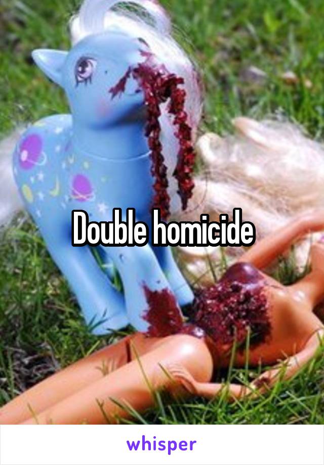 Double homicide