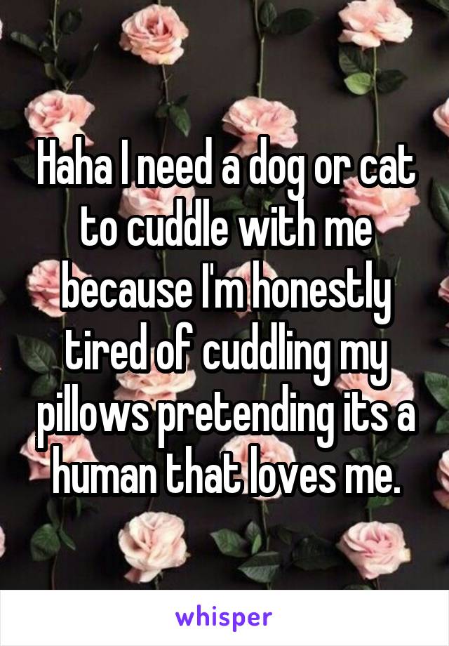 Haha I need a dog or cat to cuddle with me because I'm honestly tired of cuddling my pillows pretending its a human that loves me.