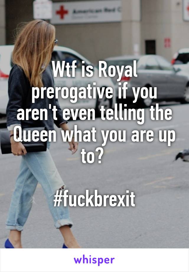 Wtf is Royal prerogative if you aren't even telling the Queen what you are up to? 

#fuckbrexit