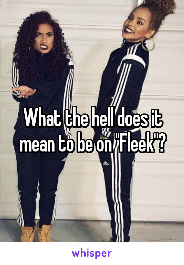 What the hell does it mean to be on "Fleek"?