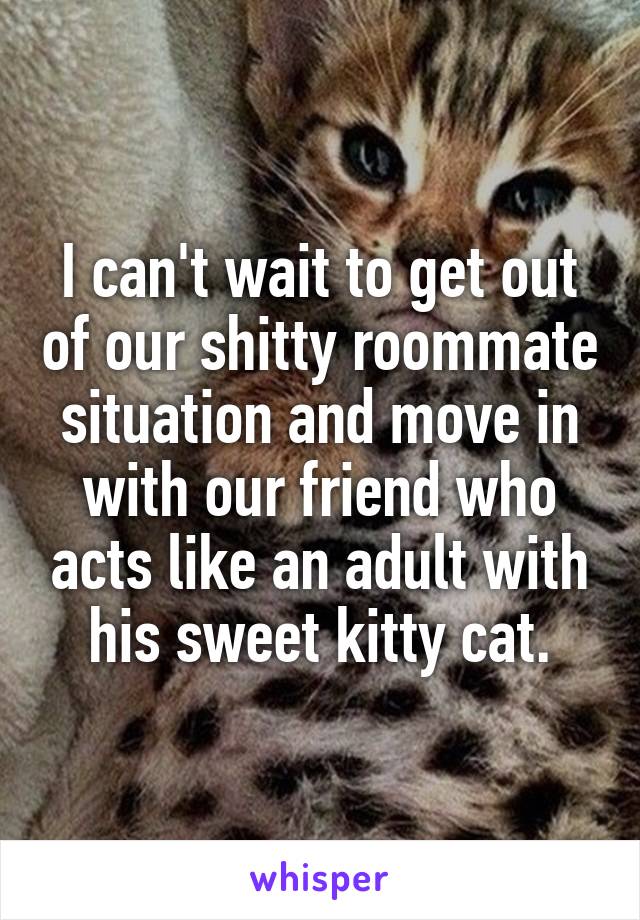 I can't wait to get out of our shitty roommate situation and move in with our friend who acts like an adult with his sweet kitty cat.