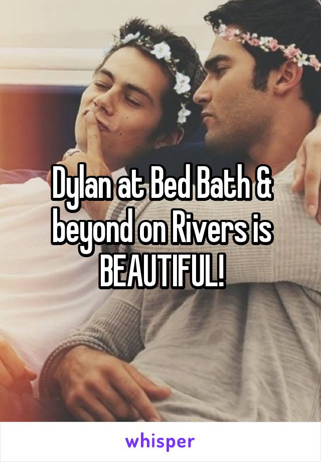 Dylan at Bed Bath & beyond on Rivers is BEAUTIFUL!