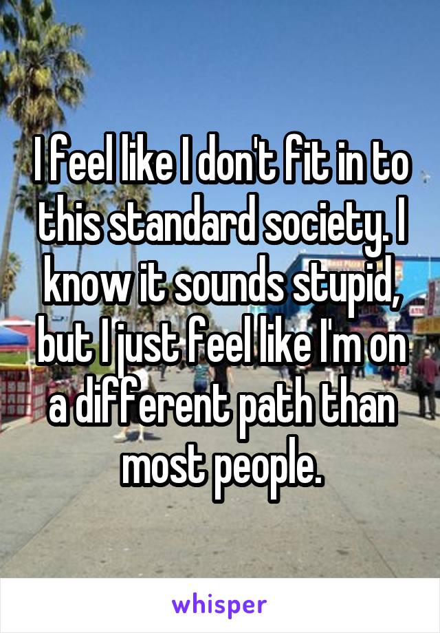 I feel like I don't fit in to this standard society. I know it sounds stupid, but I just feel like I'm on a different path than most people.