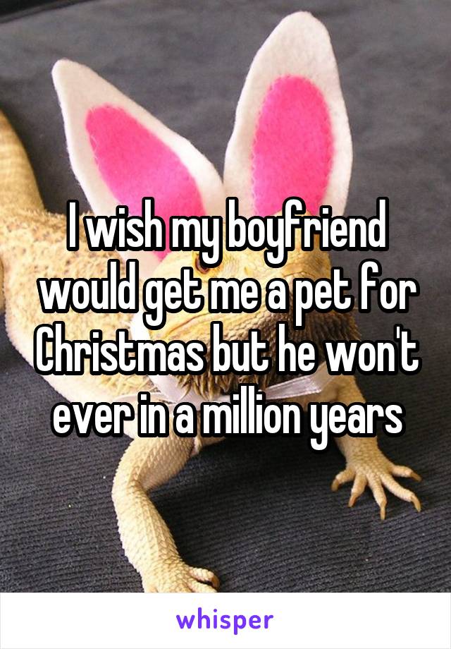 I wish my boyfriend would get me a pet for Christmas but he won't ever in a million years