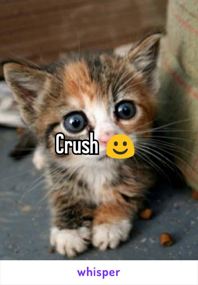 Crush ☺ 