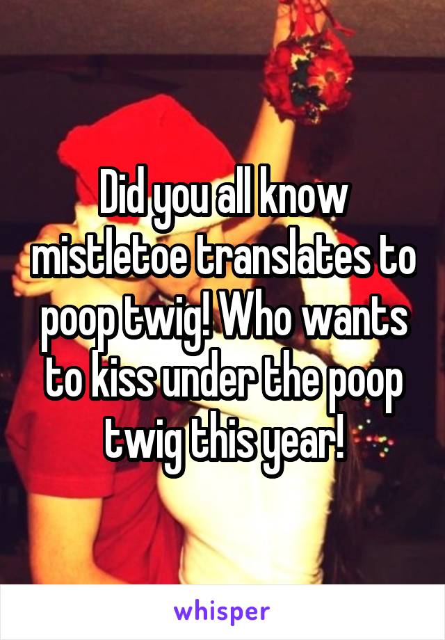 Did you all know mistletoe translates to poop twig! Who wants to kiss under the poop twig this year!