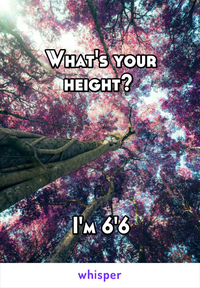 What's your height? 





I'm 6'6