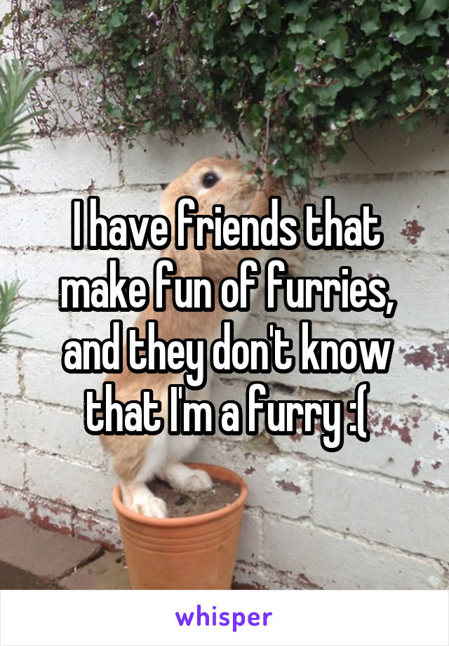 I have friends that make fun of furries, and they don't know that I'm a furry :(