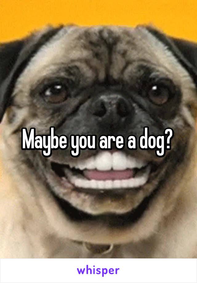 Maybe you are a dog? 