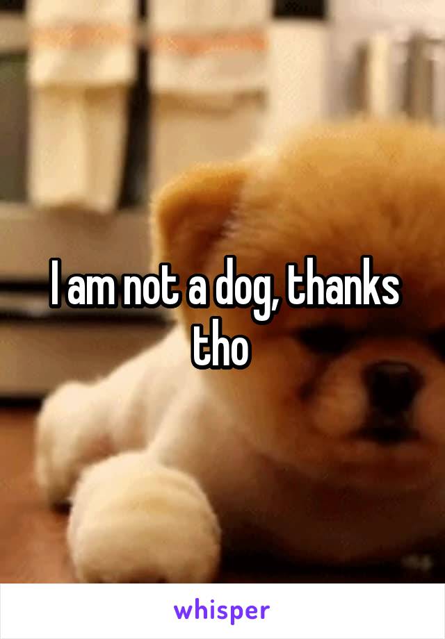 I am not a dog, thanks tho 
