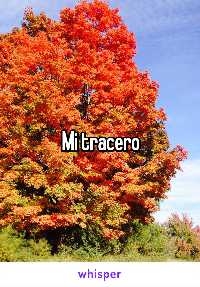 Mi tracero