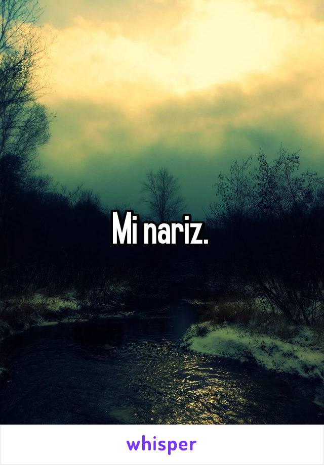 Mi nariz. 