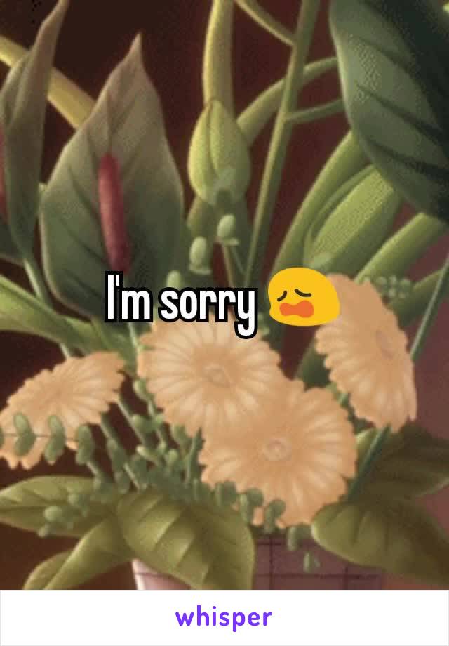 I'm sorry 😩