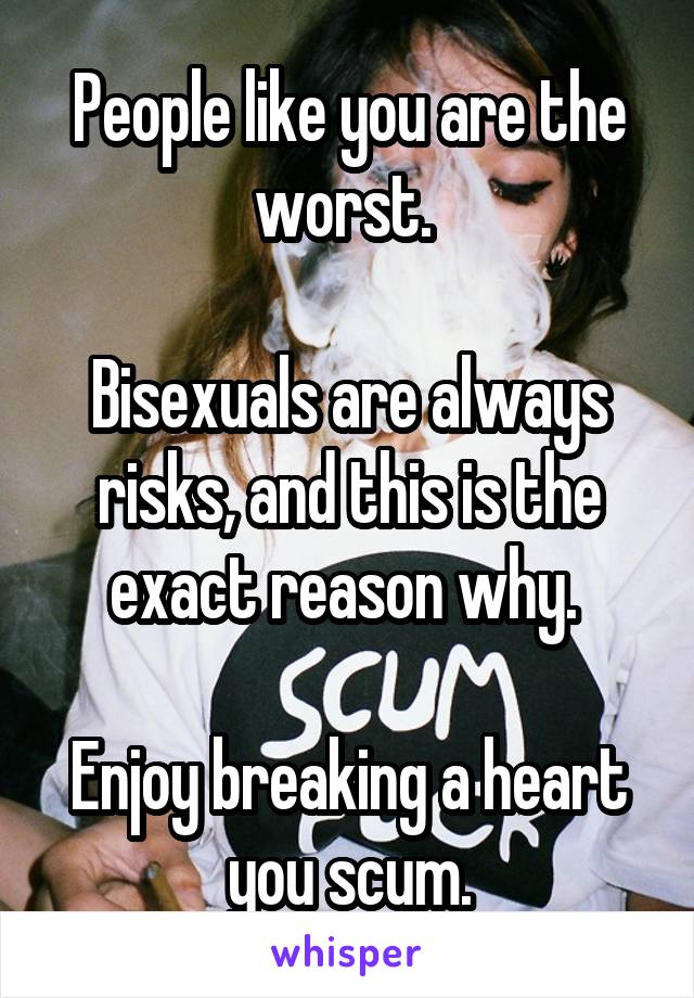 People like you are the worst. 

Bisexuals are always risks, and this is the exact reason why. 

Enjoy breaking a heart you scum.