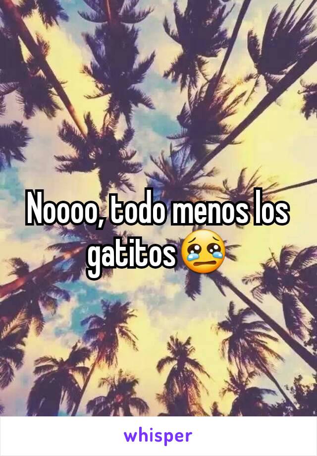 Noooo, todo menos los gatitos😢