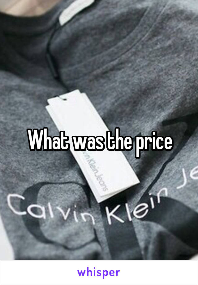 What was the price