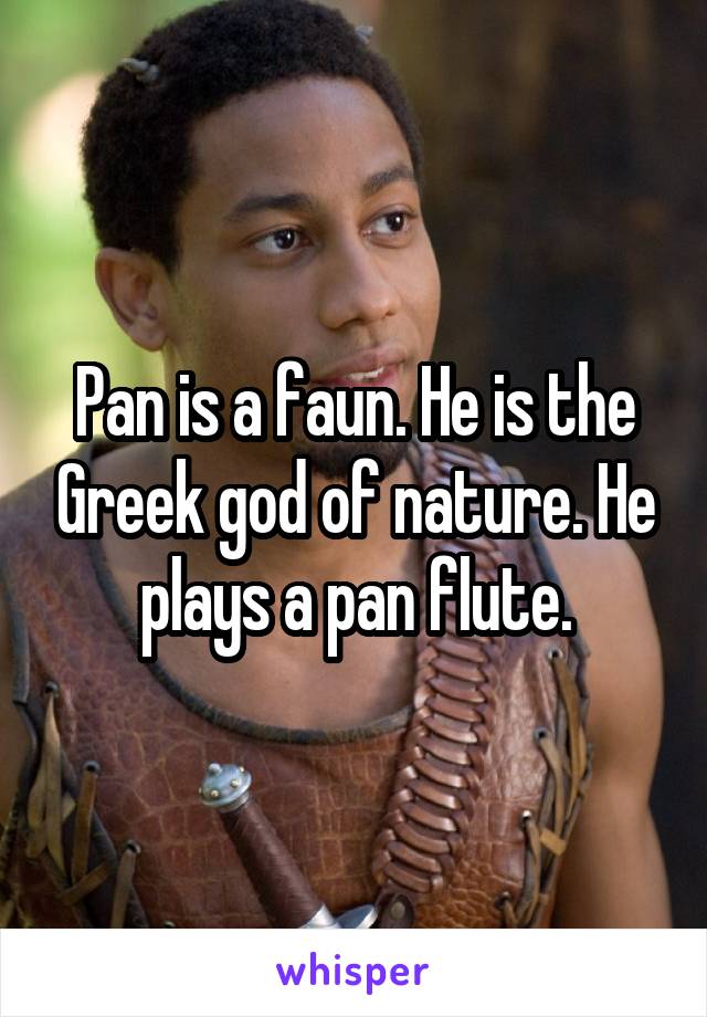 Pan is a faun. He is the Greek god of nature. He plays a pan flute.