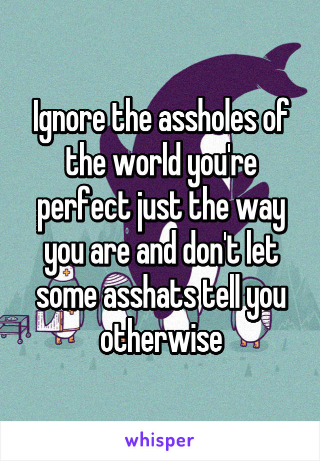 Ignore the assholes of the world you're perfect just the way you are and don't let some asshats tell you otherwise