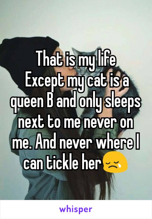 That is my life
 Except my cat is a queen B and only sleeps next to me never on me. And never where I can tickle her😢