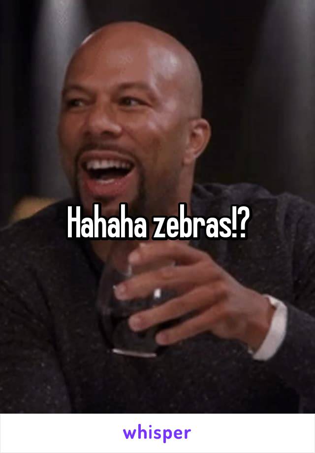 Hahaha zebras!?