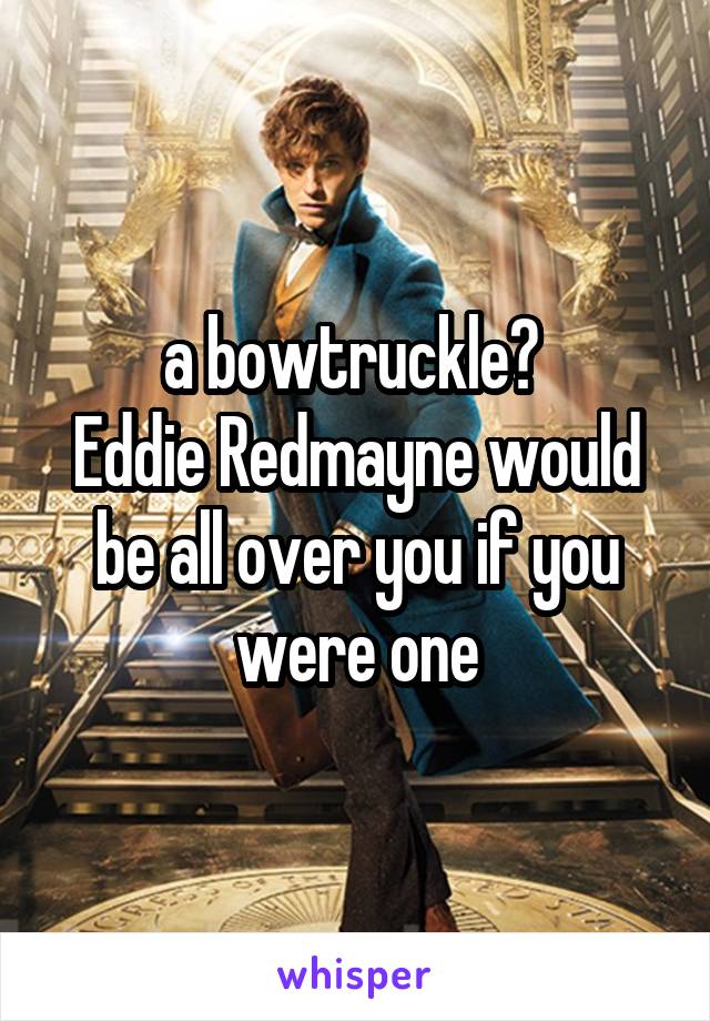 a bowtruckle? 
Eddie Redmayne would be all over you if you were one