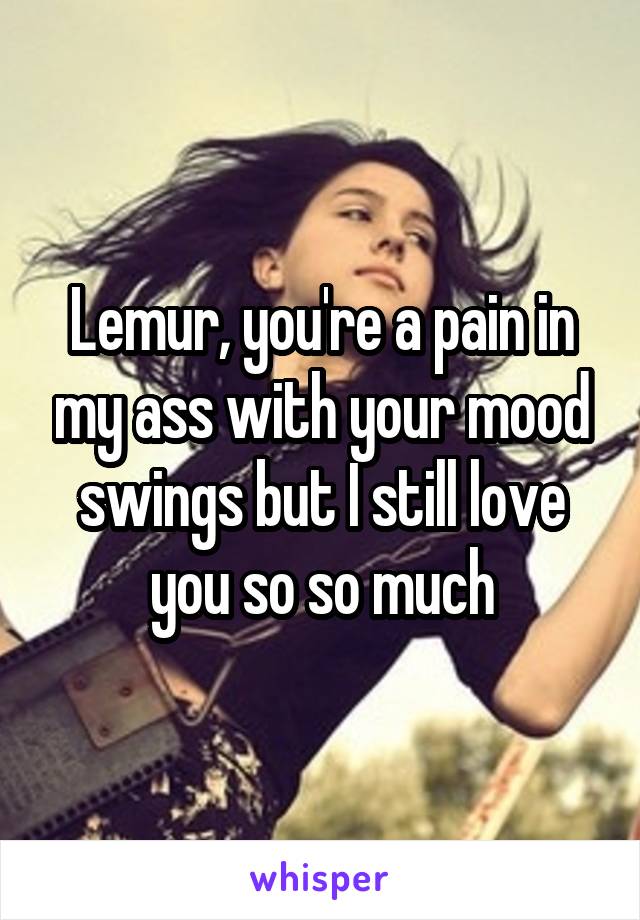 Lemur, you're a pain in my ass with your mood swings but I still love you so so much