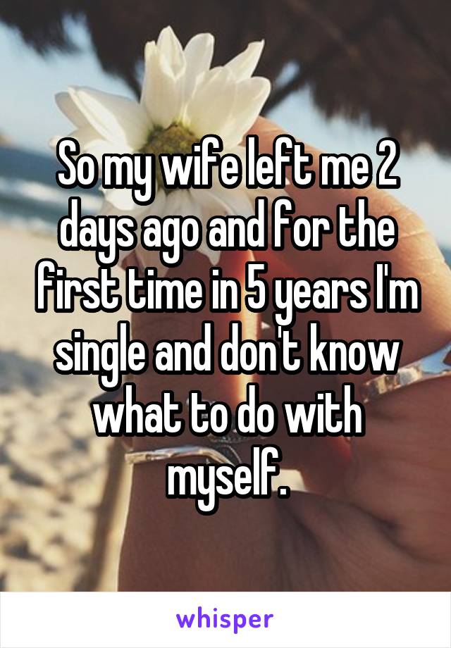 So my wife left me 2 days ago and for the first time in 5 years I'm single and don't know what to do with myself.