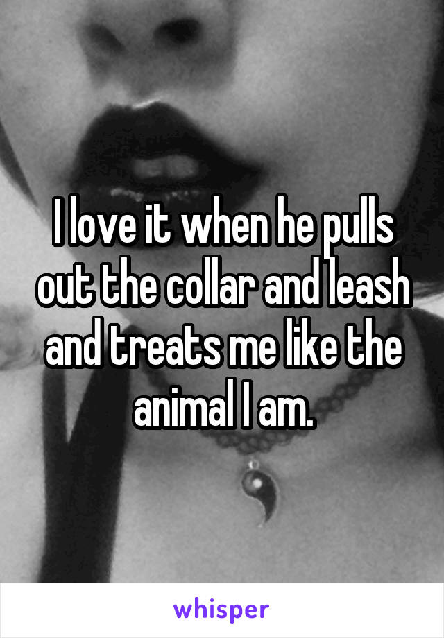 I love it when he pulls out the collar and leash and treats me like the animal I am.