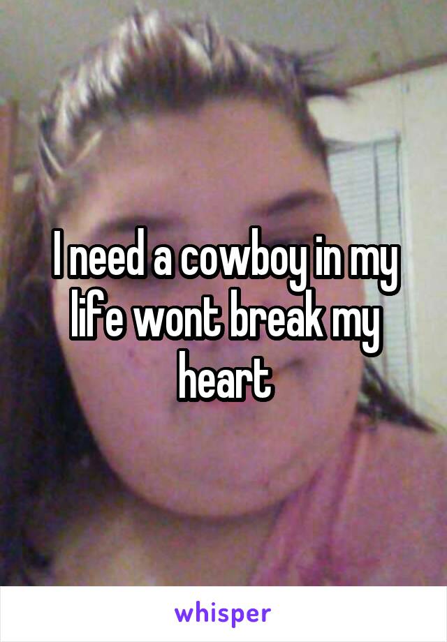 I need a cowboy in my life wont break my heart