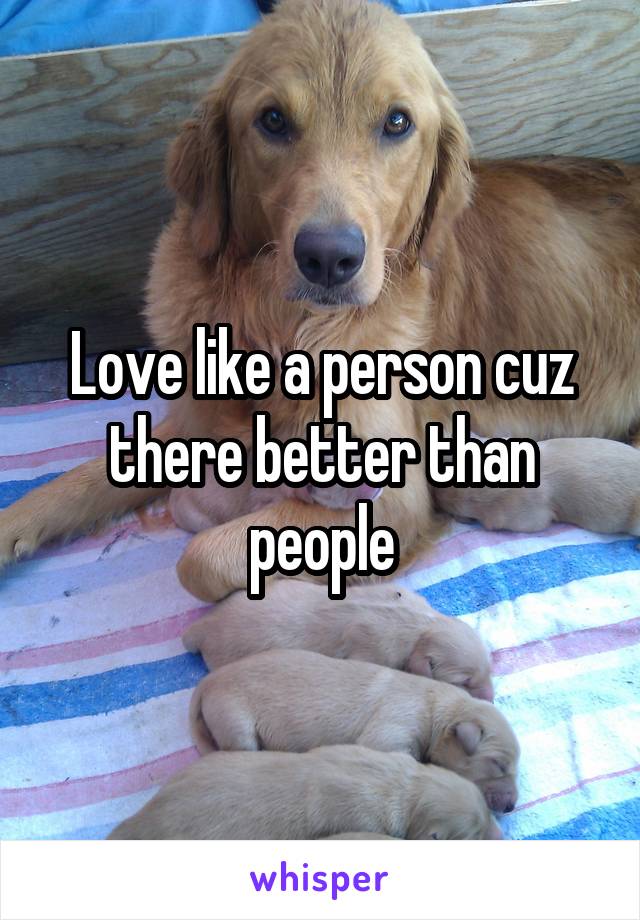 Love like a person cuz there better than people