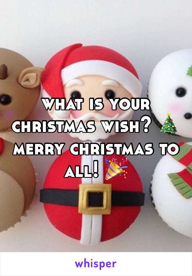 what is your christmas wish? 🎄 merry christmas to all! 🎉