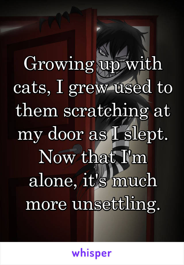 Growing up with cats, I grew used to them scratching at my door as I slept. Now that I'm alone, it's much more unsettling.