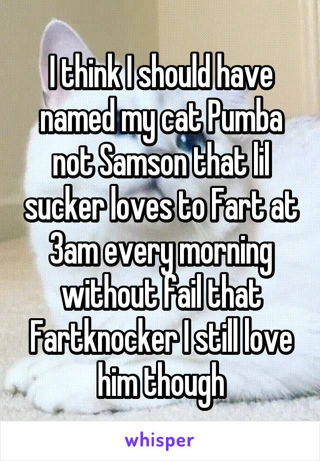 I think I should have named my cat Pumba not Samson that lil sucker loves to Fart at 3am every morning without fail that Fartknocker I still love him though