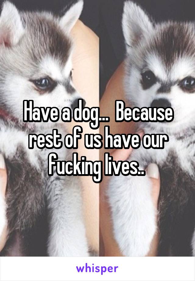 Have a dog...  Because rest of us have our fucking lives.. 