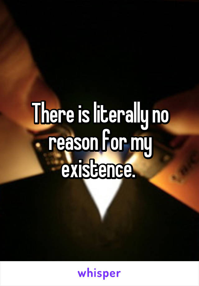 There is literally no reason for my existence. 