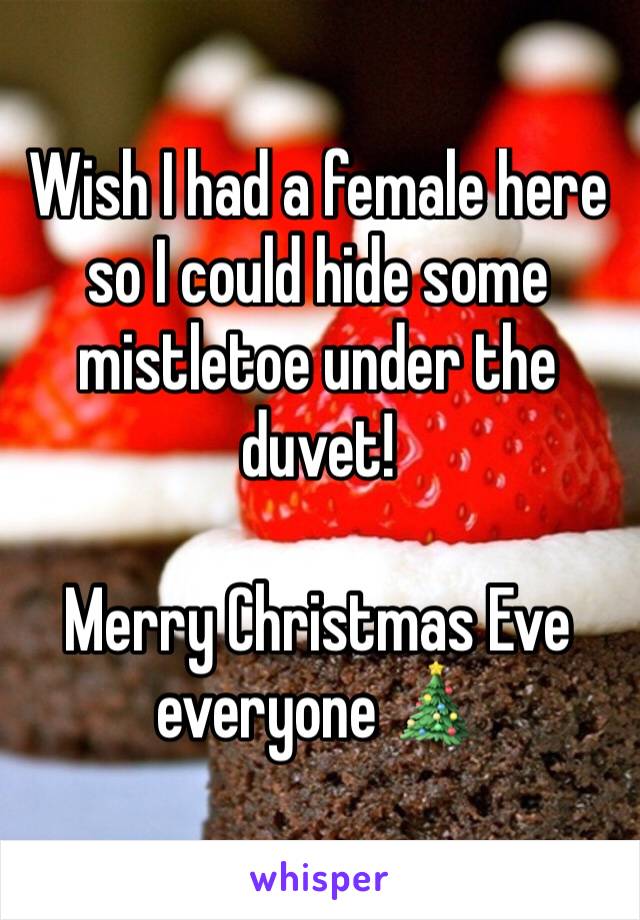 Wish I had a female here so I could hide some mistletoe under the duvet!

Merry Christmas Eve everyone 🎄 