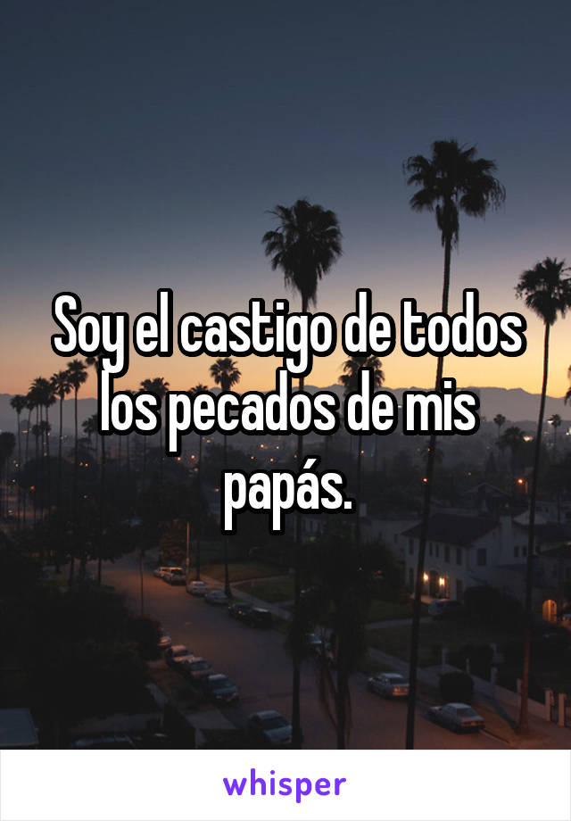 Soy el castigo de todos los pecados de mis papás.